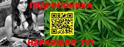 прущие крисы Жуковский