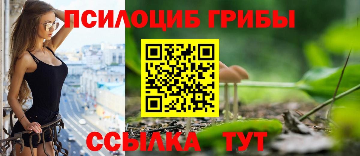 Мирный  Псилоцибиновые грибы прущие грибы  Вход с VPN 